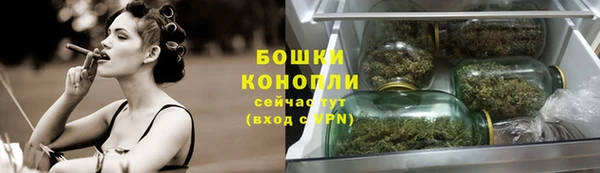 ГАЛЛЮЦИНОГЕННЫЕ ГРИБЫ Балабаново