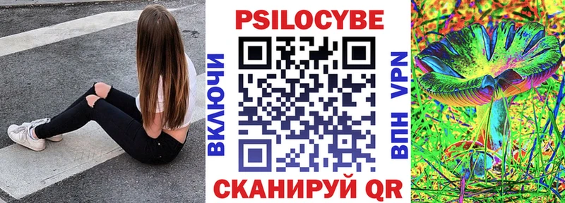 mega зеркало Белозерск Псилоцибиновые грибы GOLDEN TEACHER